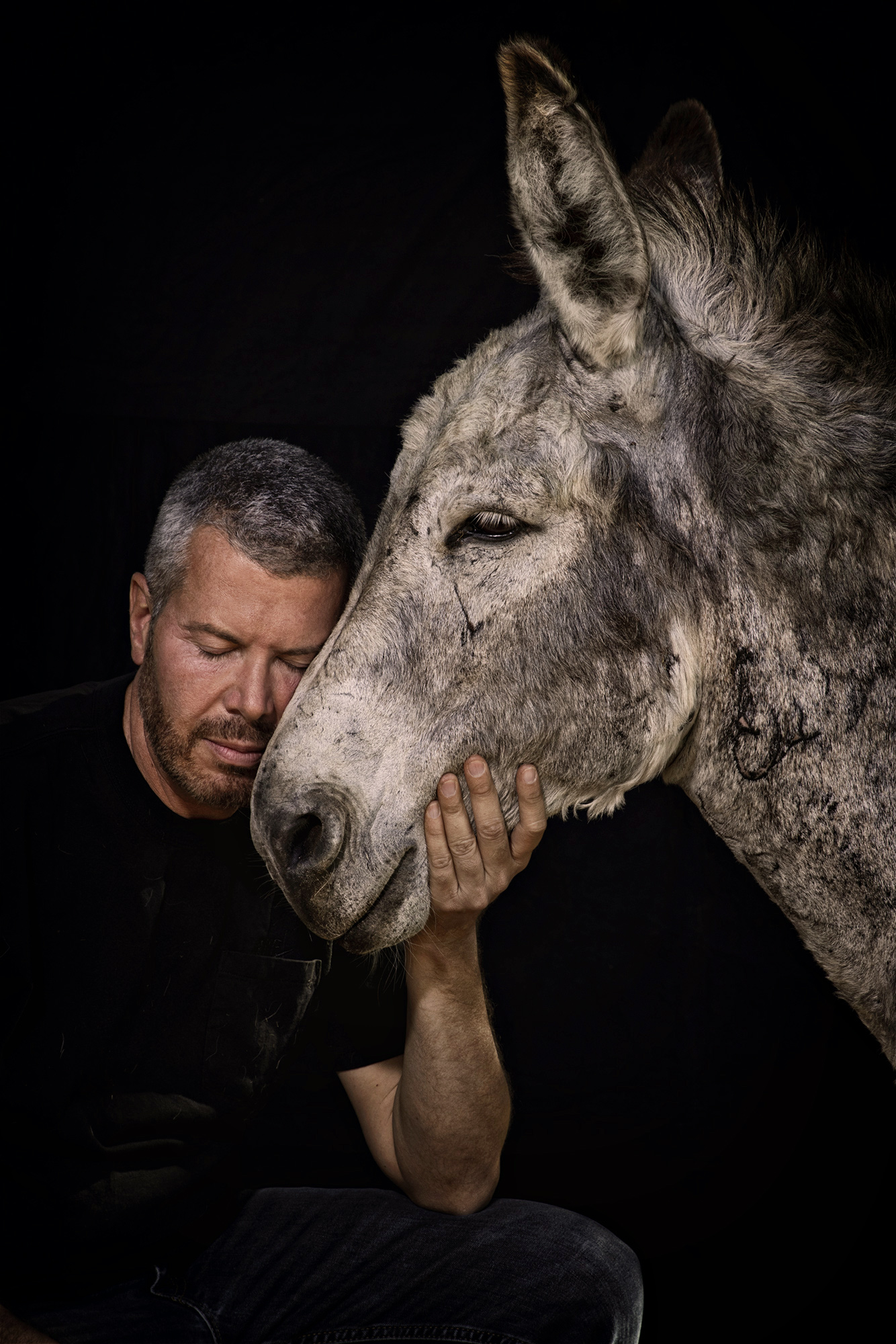_Y0A4205_donkey_web3